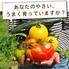 - GG液肥AB  2液タイプ グリーン・グリーン 78167096
