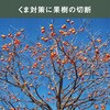 BCT-1000 充電式大枝カッター ムサシ 78167306