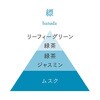 103003 お香 AO 30本入り 香立て付き 縹 大香 78180658