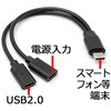 RUA-OTGTPC2 5V給電 USB2.0対応 TYPE-C OTG変換ケーブル ルートアール 78182259