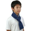 27787 首巻き氷のう アーテック[学校教材・教育玩具] 78191700
