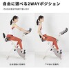 AFBX4451+EXP100 1年保証 フィットネスバイク 心拍数メーター付き タブレットトレー付き 背もたれ マット付き アルインコ 78192856