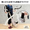 AFBX4451+EXP100 1年保証 フィットネスバイク 心拍数メーター付き タブレットトレー付き 背もたれ マット付き アルインコ 78192856