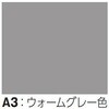 CPA-TT38S3A3 ���ϔ�(R�f�U�C���ET�f�U�C��) �m�_ 78194019