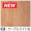 CPA-RT38S3C2 ���ϔ�(R�f�U�C���ET�f�U�C��) �m�_ 78196216