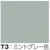 CPA-TT38S3T3 ���ϔ�(R�f�U�C���ET�f�U�C��) �m�_ 78197756