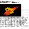 #005.オレンジ(167941) クラボーイ 2.5インチ SHIMANO(シマノ) 78199226