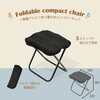 LL-15 <軽量アルミ>折り畳み式コンパクトチェア カクセー 78201579