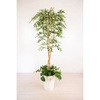 人工樹木/人工観葉植物 シラカシ寄植 岩や