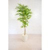 人工樹木/人工観葉植物&#160;フランスベンジャミン&#160;160cm 岩や