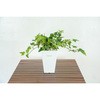 人工樹木/人工観葉植物 アイビー 岩や