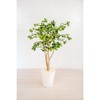 人工樹木/人工観葉植物 ガジュマル 岩や