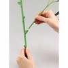 70322 七夕用特大笹 2m スタンド付き アーテック[学校教材・教育玩具] 78633967