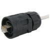 Amphenol Socapex RJ45 モジュラーコネクタ， オス， RJ45コネクタ， ケーブルマウント， Cat5e， RJFRB6 AMPHENOL