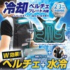 BR-871-2-1 y`FxXg uC 79466040