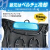 BR-871-2-1 y`FxXg uC 79466040