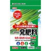 一発肥料 ねぎ・玉ねぎ・にんにく専用 セントラルグリーン