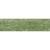 79504838