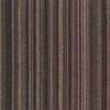 79505757