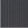 79506484