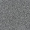 79506545