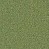 79506606