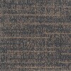 79506825