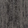 79506920