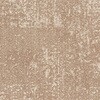 79507175