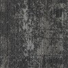 79507254