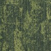 79507270