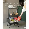LATR-D(BK) バスケットトローリー 専用 扉 【パーツのみ、本体別売り】 YAMAZEN(山善) 79521867