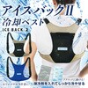 BR-530 アイスバックII(アイスバック2)(保冷剤付) ブレイン 79539471