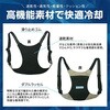 BR-530 アイスバックII(アイスバック2)(保冷剤付) ブレイン 79539471