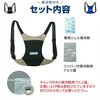 BR-530 アイスバックII(アイスバック2)(保冷剤付) ブレイン 79539471