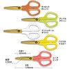 SC-175STW-K(35208) はさみ フィットカットカーブ 洗えるチタン パッケージ2 PLUS(プラス)[文具] 79539690