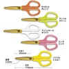 SC-175STW-K(35206) はさみ フィットカットカーブ 洗えるチタン パッケージ2 PLUS(プラス)[文具] 79539735