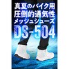 66431 DS-504 S-ARシューズ DAYTONA(デイトナ) 79569668