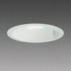 EL-DS00/3(061LM) AHN LED�l���_�E�����C�g �O�H�d�@ 79604187