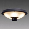 EL-M6020L/K AHN LED�X�H������ �O�H�d�@ 79615448
