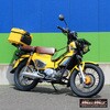 79622544