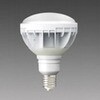 LDR100-220V33N-H-E39 ���ˌ`E39����LED�d�� �O�H�d�@ 79623121