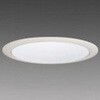 LRS1-65 AHTZ LED�����_�E�����C�g �O�H�d�@ 79623988