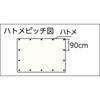 79662024