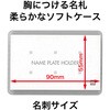 N-4P \tgD hTCY pNbv 1 OP 79700890