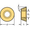 79725234