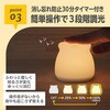 KJZ420431 LED授乳ランプ EDISON 79758178