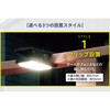 SV-8425 クリップ式人感センサーソーラーライト セーブインダストリー 79763760