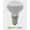 R50E17KR100/110V45WF クリプトンランプ(ミニクール) 東西電気産業 79769256
