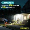 TYH-G3B ソーラー充電式 人感センサーLEDライト GOODGOODS(グッド・グッズ) 79771697